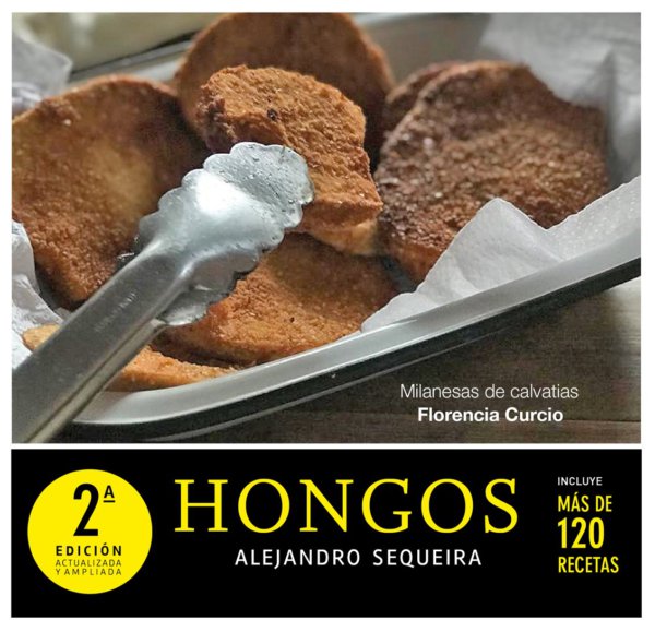 Hongos03