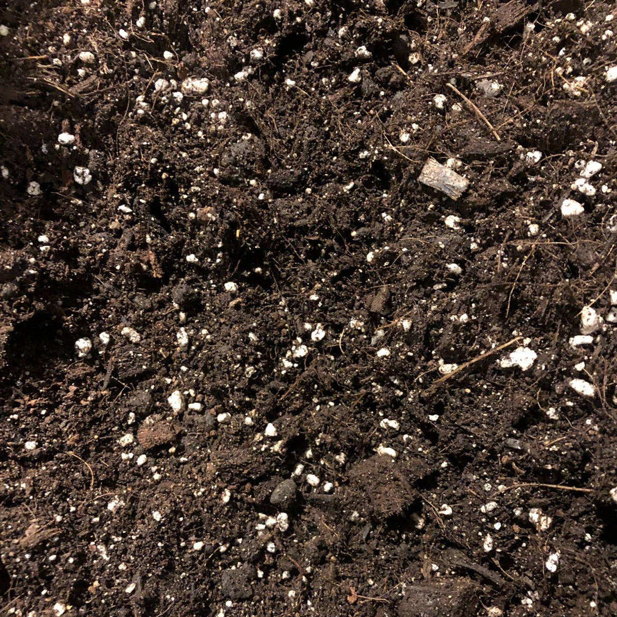 Potting