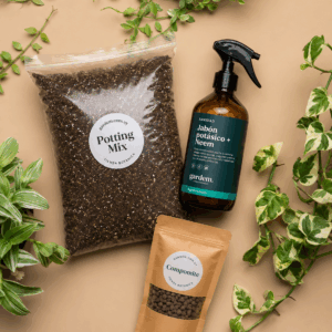 Kit Esencial Gardem