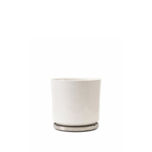 Maceta con plato brillo S - 16cm