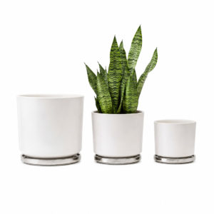 Set ceramica plato brillo x3