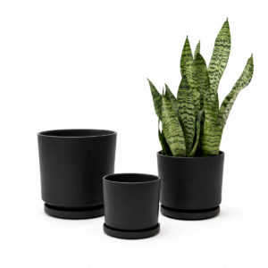 Set ceramica NEGRO x3