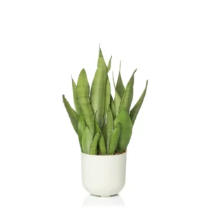 Macetero DUE combinable N3 - Blanco