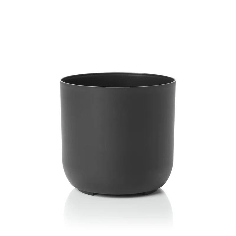 n2 negro